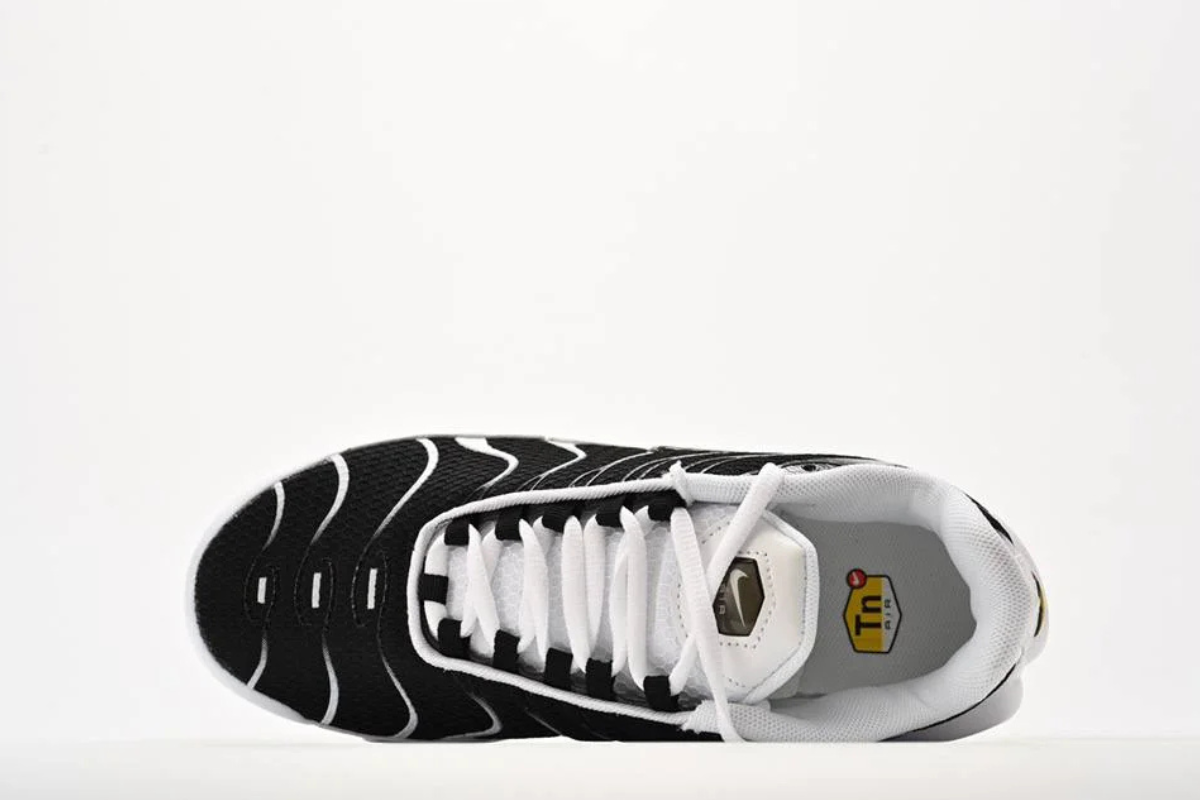 Nike Air Max Plus Black Silver White Edition