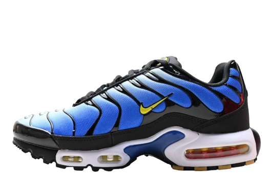 Nike Air Max Plus Blue Edition