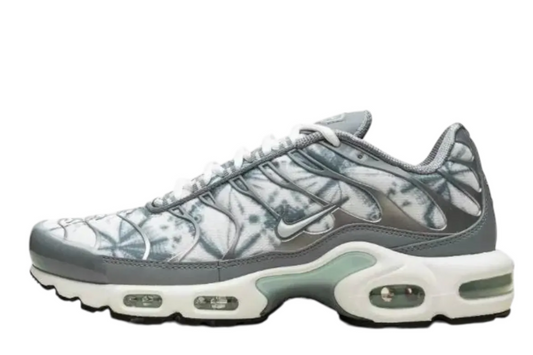 Nike Air Max Grey Edition