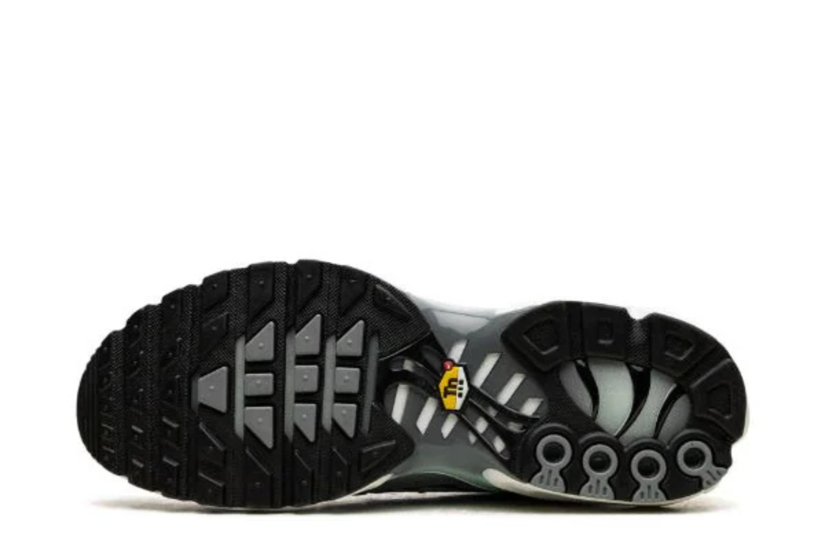 Nike Air Max Grey Edition