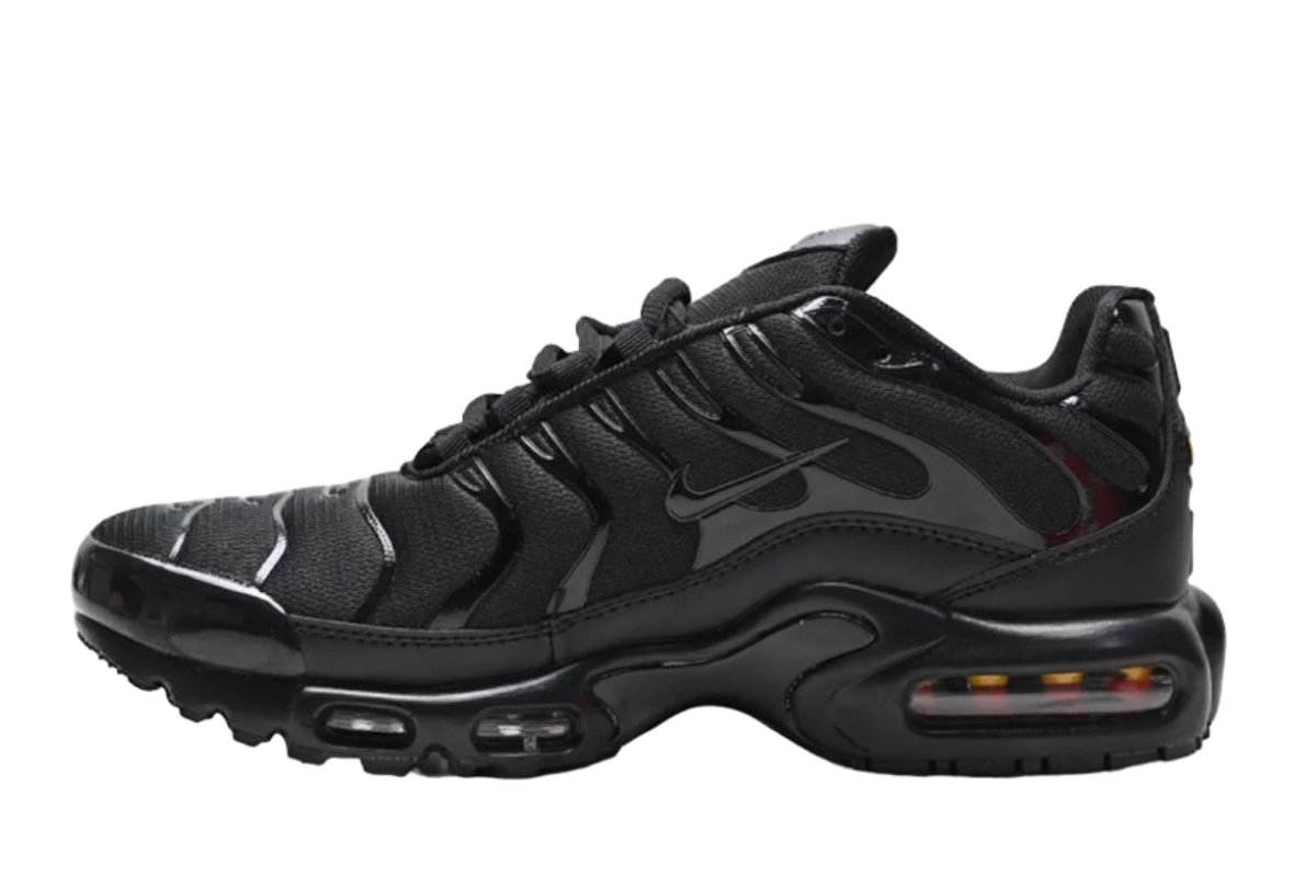 Nike Air Max Plus Black Edition