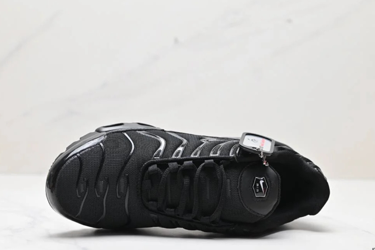 Nike Air Max Plus Black Edition