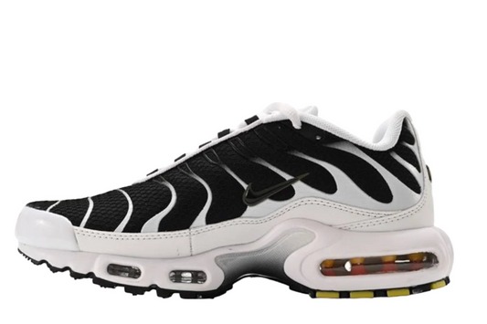 Nike Air Max Plus Black Silver White Edition