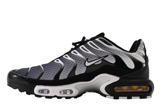 Nike Air Max Plus Black Silver White Edition